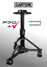 Cartoni PRO + User Manual/Maintenance preview