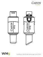 Preview for 1 page of Carvin Audio WM5 Manual