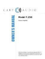 Cary Audio Design 7.250 Owner'S Manual предпросмотр