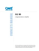 Cary Audio Design SLI-80 Owner'S Manual preview