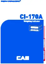 CAS CI-170A Owner'S Manual preview