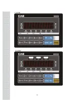 Предварительный просмотр 15 страницы CAS CI-200 Series Manual