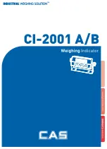 Предварительный просмотр 1 страницы CAS CI-2001A Manual