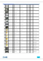 Предварительный просмотр 66 страницы CAS CT100 Series Service Manual