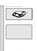 Предварительный просмотр 7 страницы CAS RETAIL WEIGHING SOLUTION CT100 Owner'S Manual