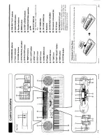 Preview for 4 page of Casio LK-35 User Manual