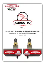 Casotti AQUILOTTO FC8-2 Instruction For The Installation And The Adjustment предпросмотр