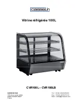 Casselin CVR100LB Manual preview