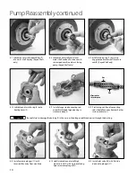 Preview for 14 page of CAT Pumps 1XP Series Installation, Operational And Repair Manual