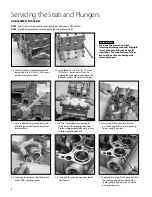 Предварительный просмотр 4 страницы CAT Pumps 67102 Service Manual