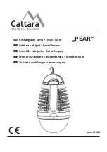 Preview for 1 page of Cattara PEAR Manual