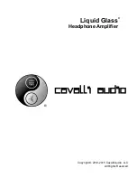 Cavalli Audio Liquid Glass User Manual preview