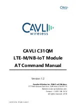 Cavli Wireless C31QM At Command Manual предпросмотр