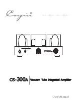 Предварительный просмотр 1 страницы Cayin CS-300A User Manual