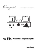 Preview for 1 page of Cayin CS-55A User Manual