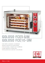 Предварительный просмотр 1 страницы CB GOLOSO FCE10-UM Manual