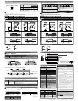 Preview for 2 page of CCS LDLB-IP series Instruction Manual