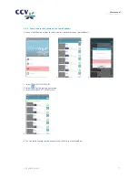 Preview for 17 page of CCV Mini User Manual