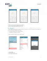 Preview for 21 page of CCV Mini User Manual