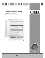 CDA FW281 Manual For Installation, Use And Maintenance preview