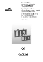 CEAG COOPER 70011 (CG-S) Operating Instructions Manual preview