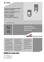 Preview for 1 page of CEAG GHG 411 Operating Instructions Manual