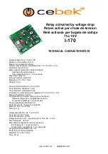 Предварительный просмотр 1 страницы CEBEK I-170 Quick Start Manual