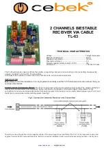 Предварительный просмотр 1 страницы CEBEK TL-63 Manual