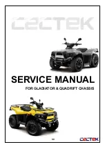 Preview for 87 page of cectek Gladiator Service Manual