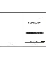 Cedarslink CE-234XL User Manual preview