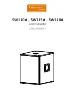 Preview for 1 page of Celectron Audio SW110A User Manual