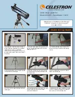 Celestron 31043 Quick Setup Manual preview