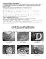 Preview for 7 page of Celestron 44320 Instruction Manual