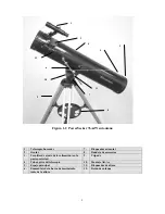 Preview for 55 page of Celestron PowerSeeker 21036 User Manual