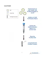 Preview for 3 page of Cell biolabs ViraBind Series Product Manual