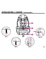 Предварительный просмотр 59 страницы Century Breverra Instruction Manual