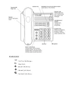 Предварительный просмотр 3 страницы CenturyLink ShoreTel IP420 Quick Reference Manual