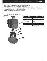 Preview for 21 page of Cepex PPH Installation And Maintenance Manual