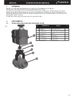 Preview for 45 page of Cepex PPH Installation And Maintenance Manual