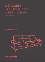 Предварительный просмотр 1 страницы CeraGem Pause S CGMERSG-2101 User Manual