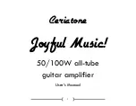 Preview for 1 page of Ceriatone JM 100w User Manual