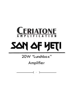 Предварительный просмотр 1 страницы Ceriatone Son of Yeti User Manual