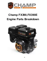 Preview for 21 page of Champ FX390 Owner'S Manual