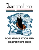 Champion Leccy The Woozy Manual preview