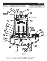 Preview for 11 page of Champion Pump CPSE Manual