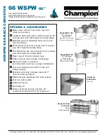 Preview for 4 page of Champion Model 66 WSPW Gas Specifications