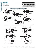 Preview for 4 page of Champion P5-30 Specifications