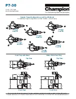 Preview for 4 page of Champion P7-30 Specifications