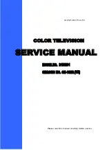 Changhong Electric 21BM91 Service Manual предпросмотр