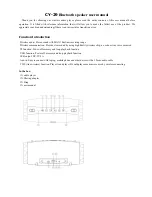 Changyue Electronic CY-29 User Manual preview